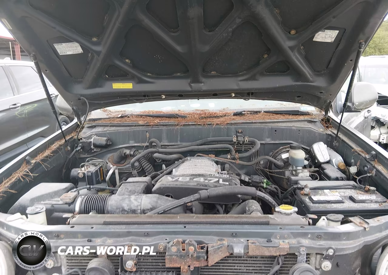 2004 Toyota Sequoia Limited V8 VIN:5TDBT48A44S224475 - 10