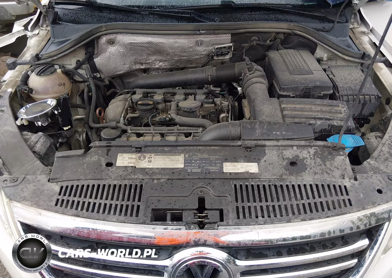 2011 Volkswagen Tiguan S VIN:WVGAV7AX5BW561252 - 10