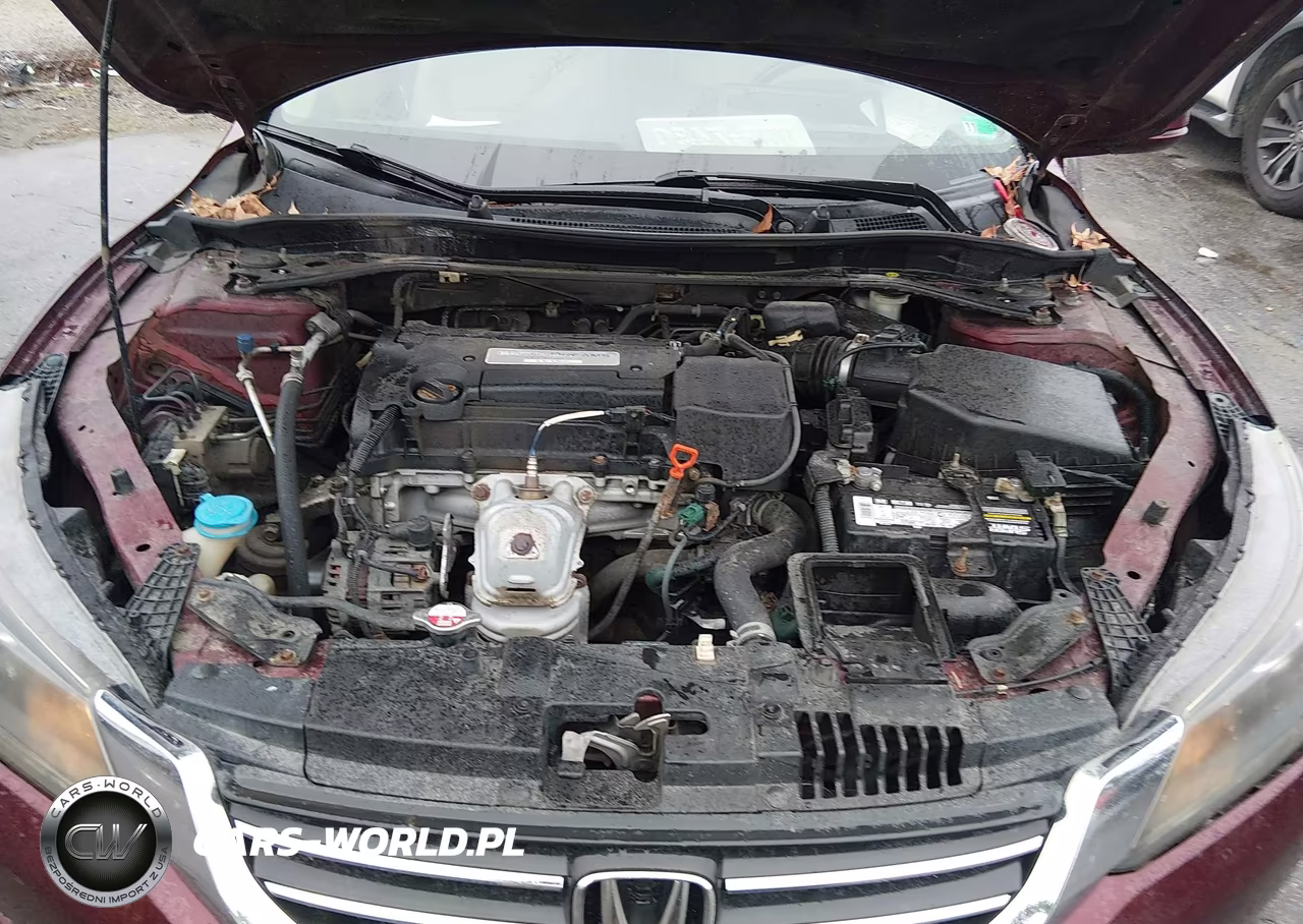 2014 Honda Accord Ex-L VIN:1HGCR2F86EA166568 - 10