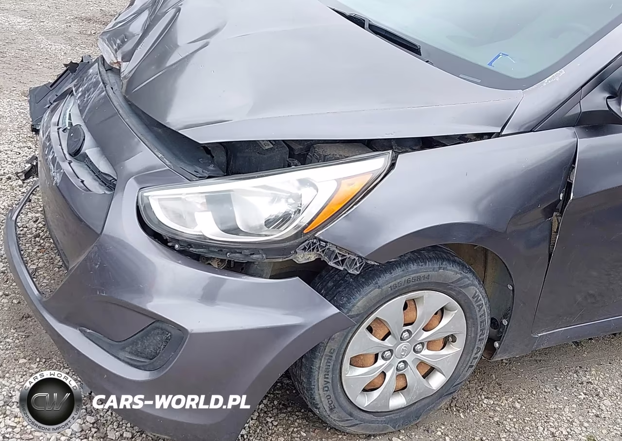 2016 Hyundai Accent Se VIN:KMHCT4AE5GU043415 - 20