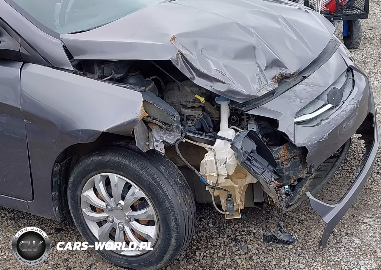 2016 Hyundai Accent Se VIN:KMHCT4AE5GU043415 - 21