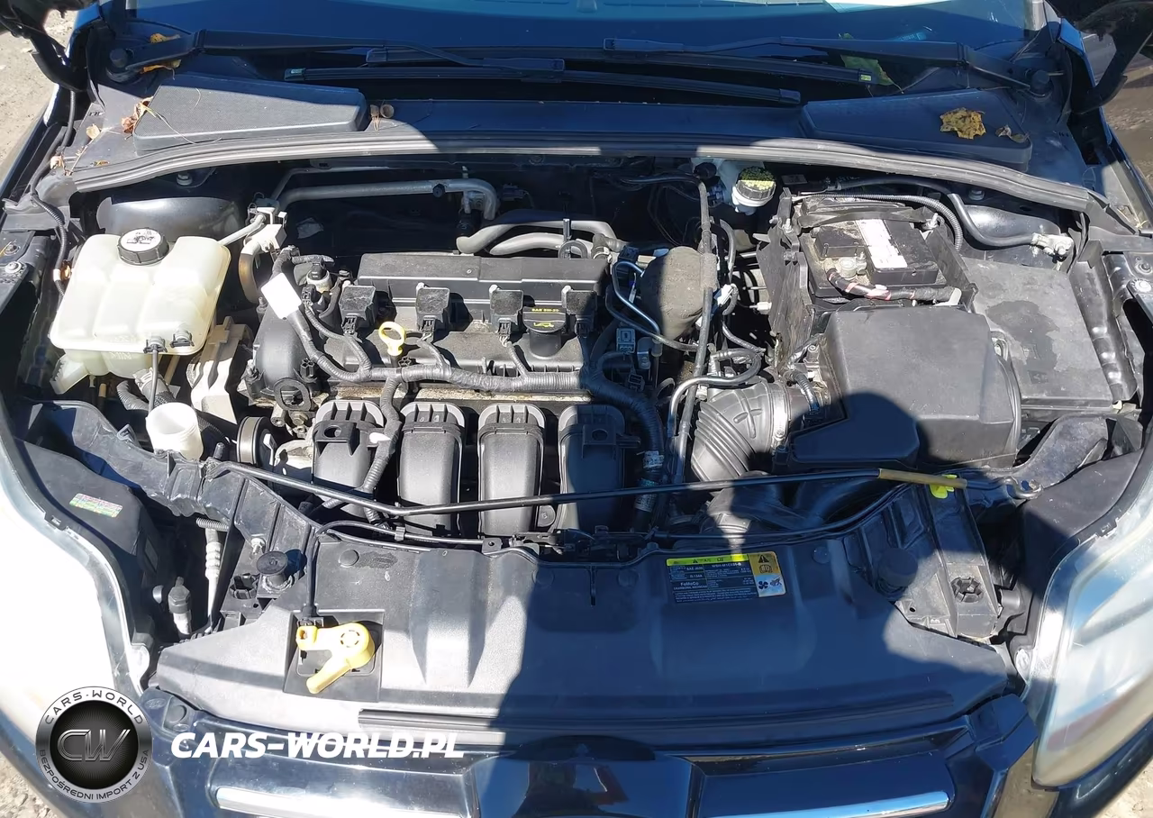 2012 Ford Focus Sel VIN:1FAHP3M21CL382818 - 10
