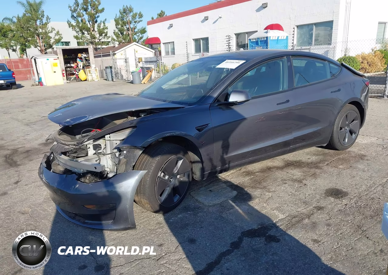 2023 Tesla Model 3 Rear-Wheel Drive VIN:5YJ3E1EA8PF664922 - 2