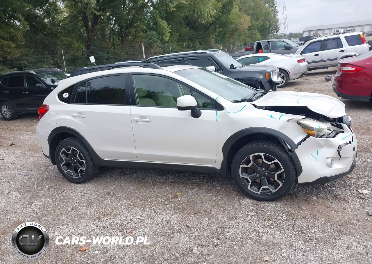 2014 Subaru Xv Crosstrek 2.0I Premium VIN:JF2GPAVC2E8342661 - 13