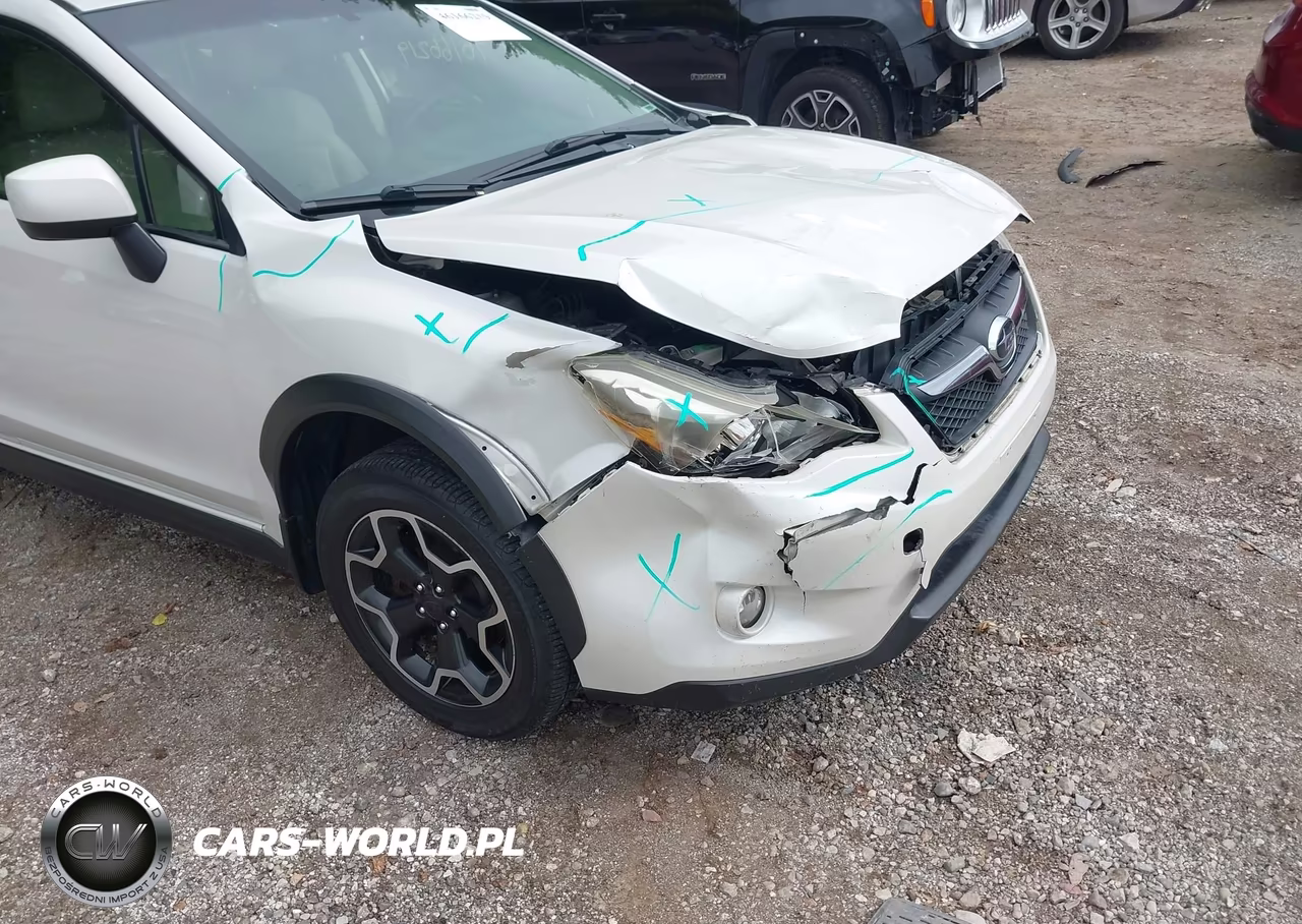 2014 Subaru Xv Crosstrek 2.0I Premium VIN:JF2GPAVC2E8342661 - 17