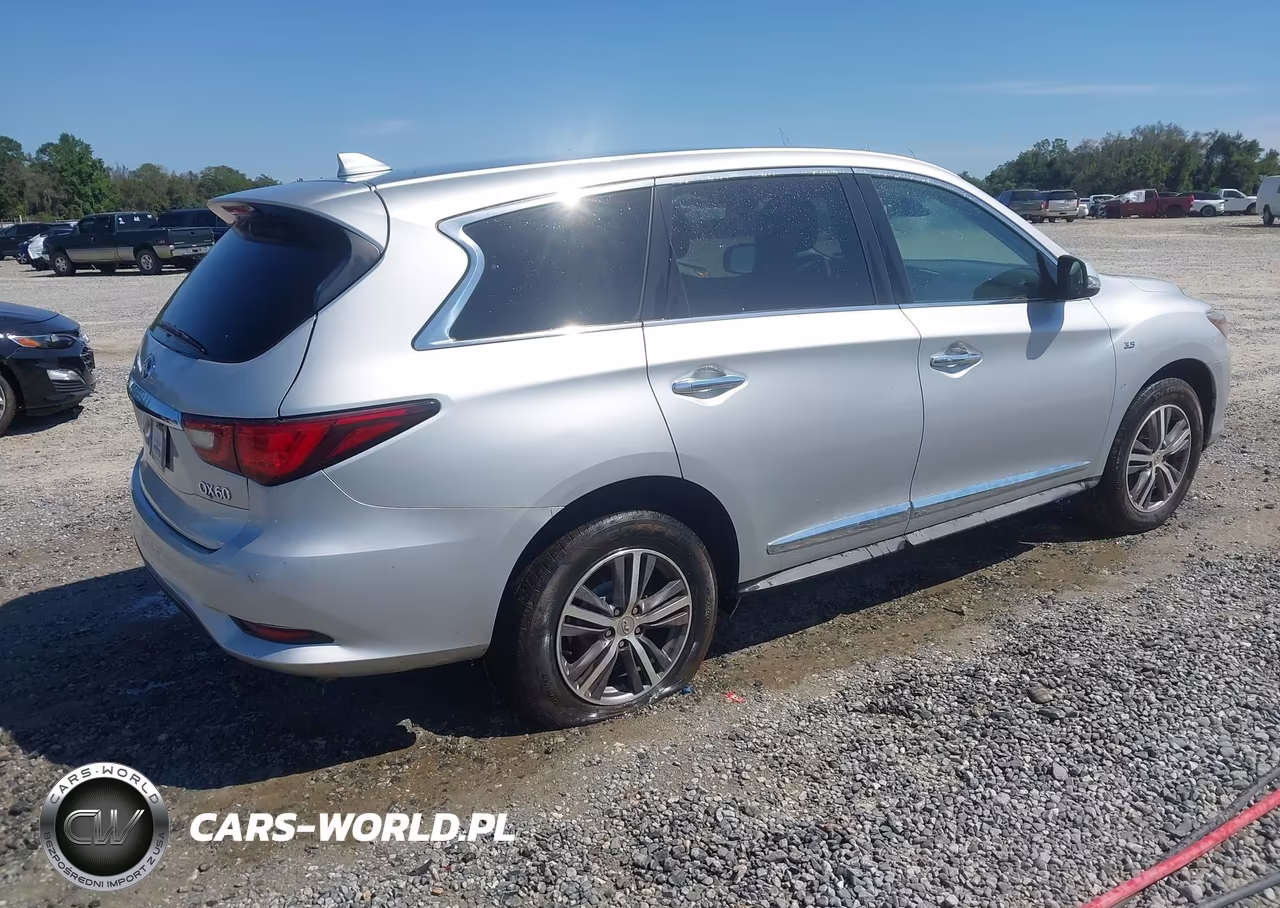 2020 Infiniti Qx60 Pure Awd VIN:5N1DL0MM7LC531684 - 4