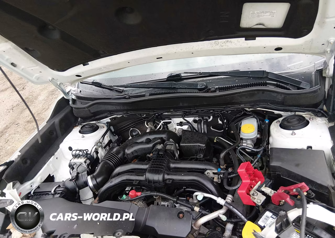 2016 Subaru Forester 2.5I Premium VIN:JF2SJADC7GH485444 - 10