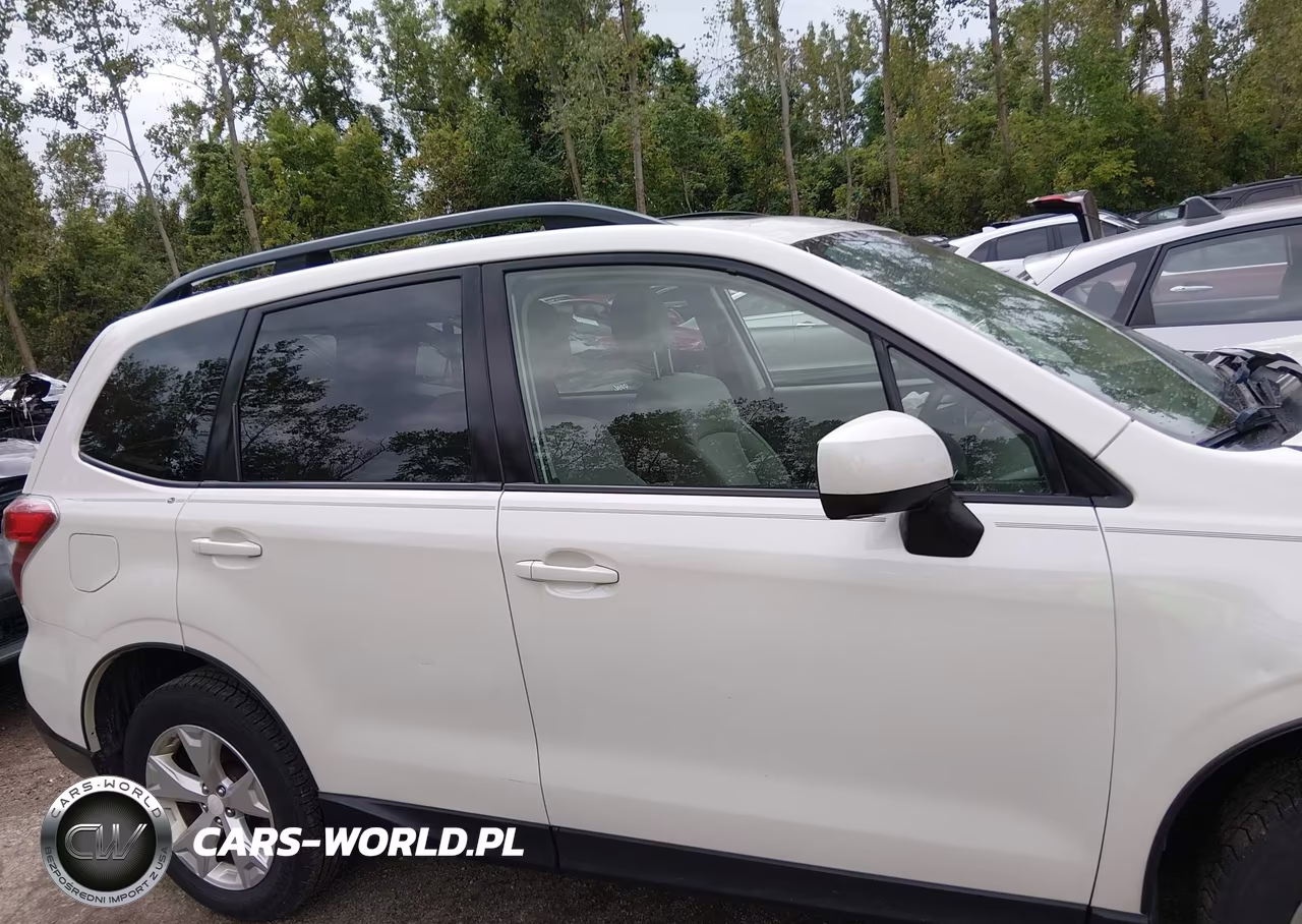 2016 Subaru Forester 2.5I Premium VIN:JF2SJADC7GH485444 - 13