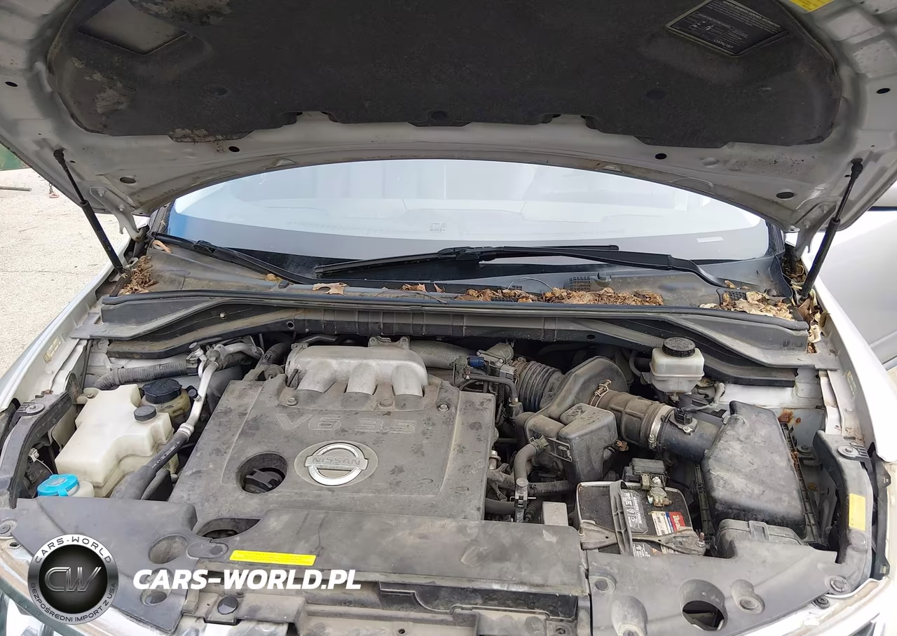 2007 Nissan Murano Sl VIN:JN8AZ08W07W651109 - 10