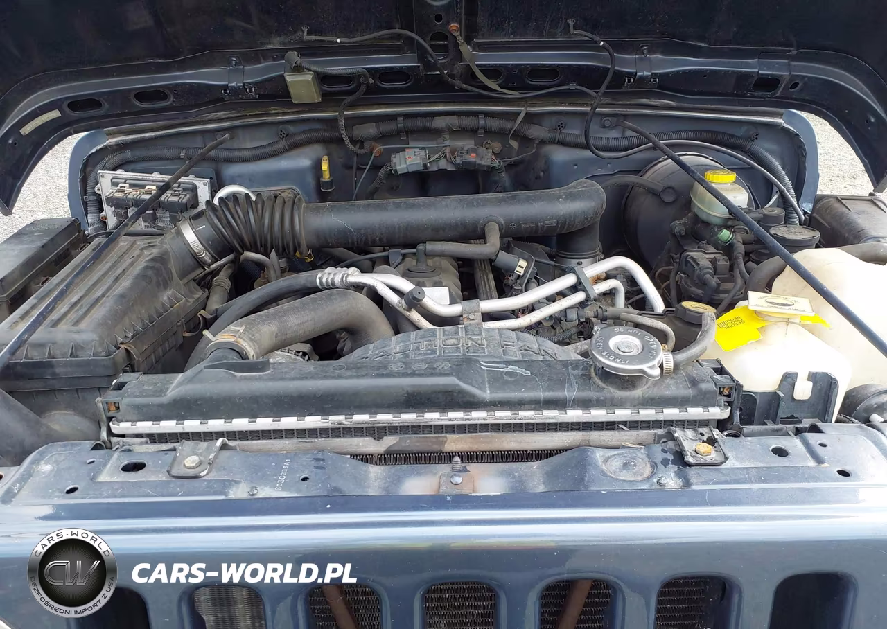 2001 Jeep Wrangler Sport VIN:1J4FA49S91P326398 - 10