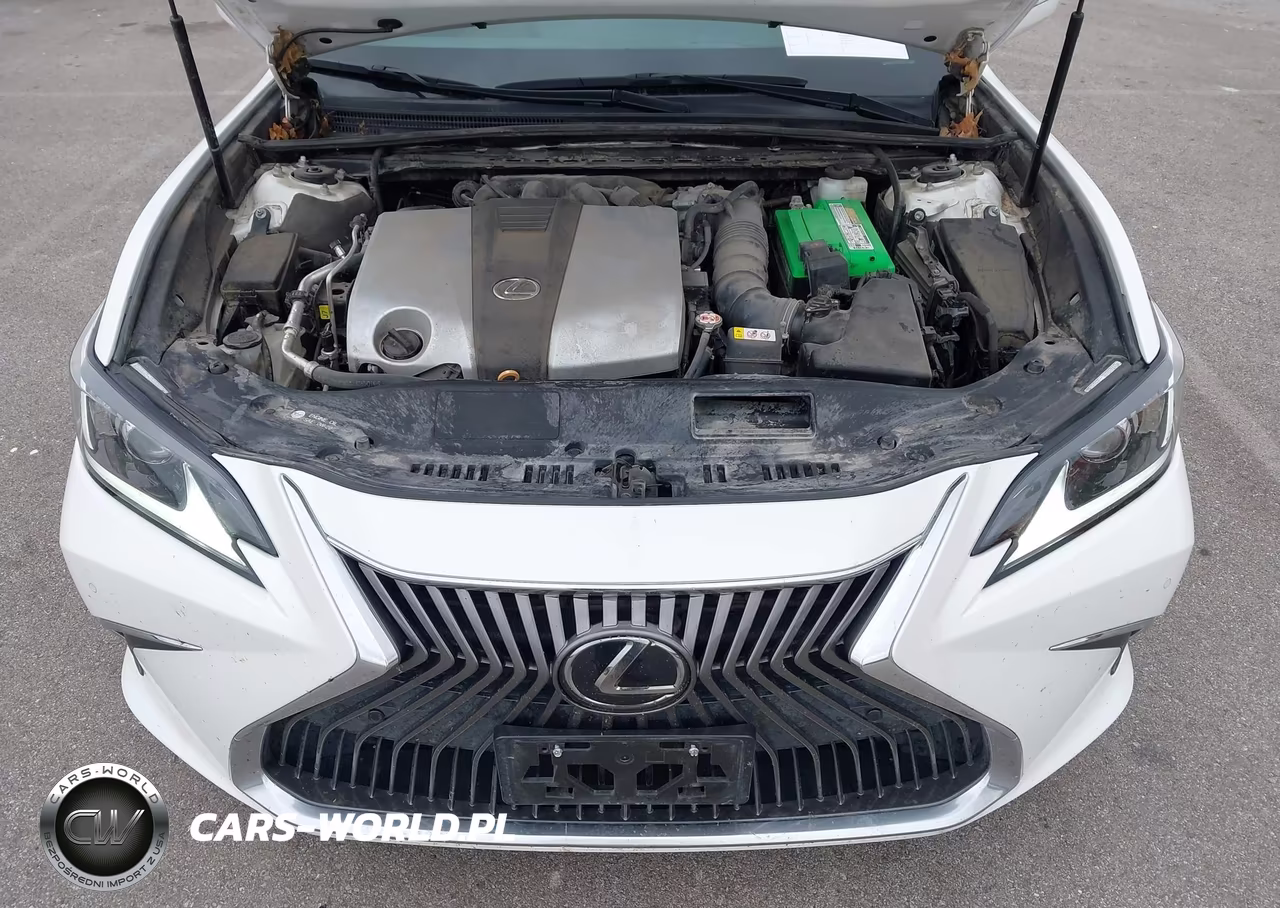 2019 Lexus Es 350 VIN:58ABZ1B1XKU030746 - 10