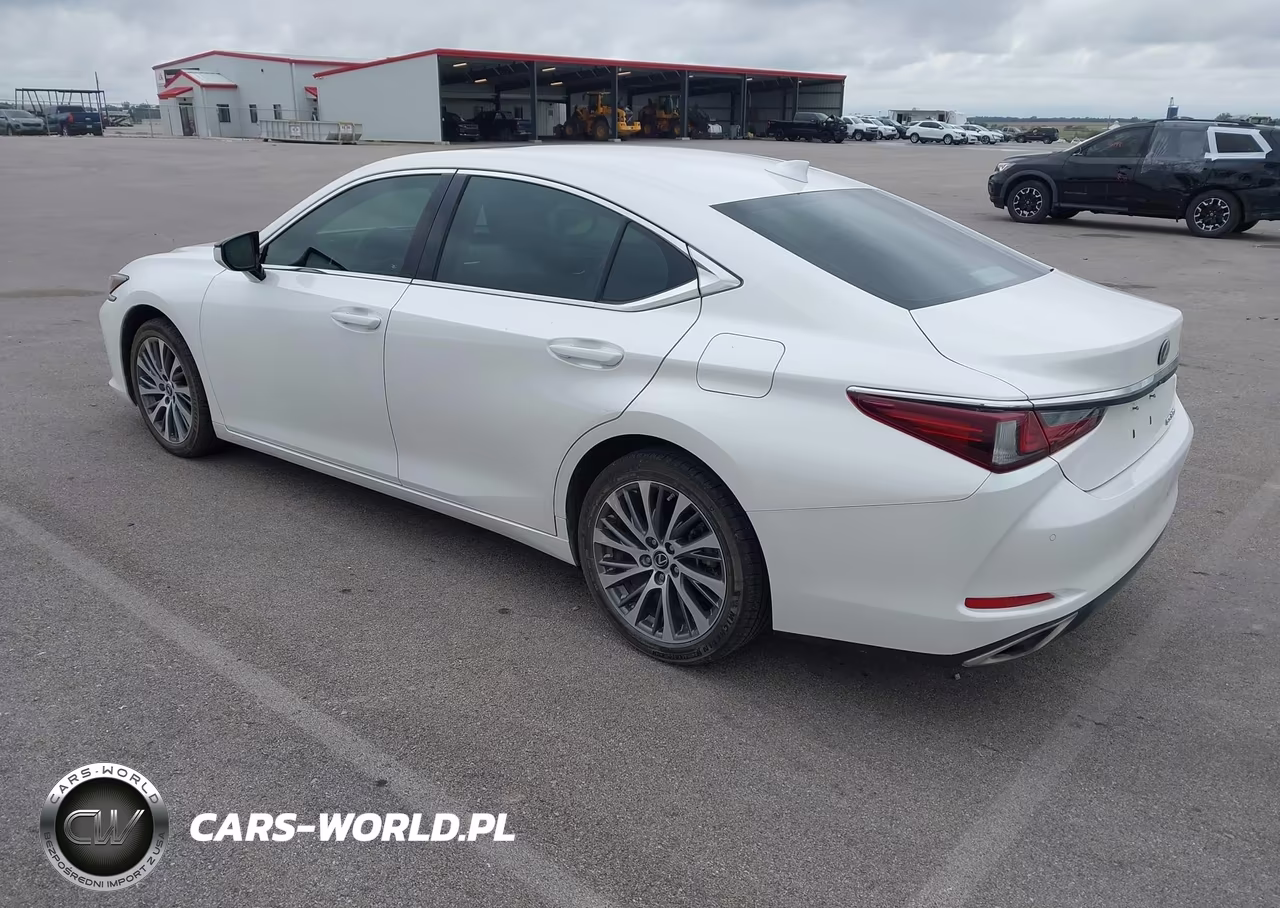 2019 Lexus Es 350 VIN:58ABZ1B1XKU030746 - 3