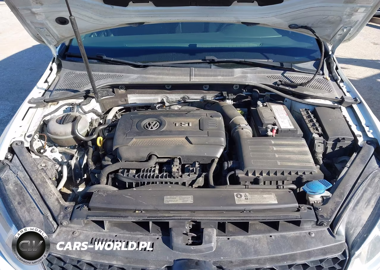 2017 Volkswagen Golf Gti S 4-Door VIN:3VW4T7AU5HM004229 - 10