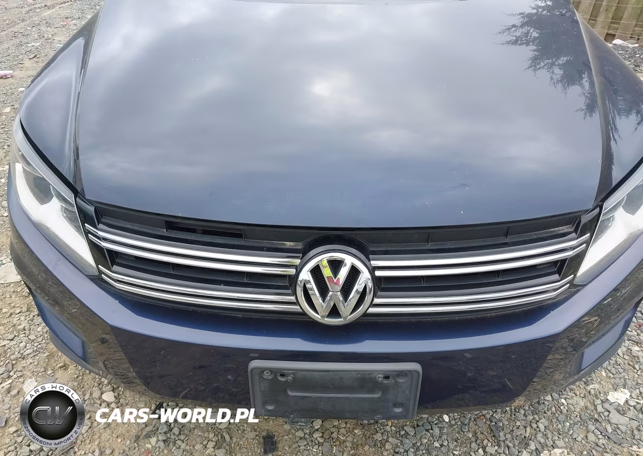 2016 Volkswagen Tiguan S VIN:WVGBV7AX9GW603739 - 10
