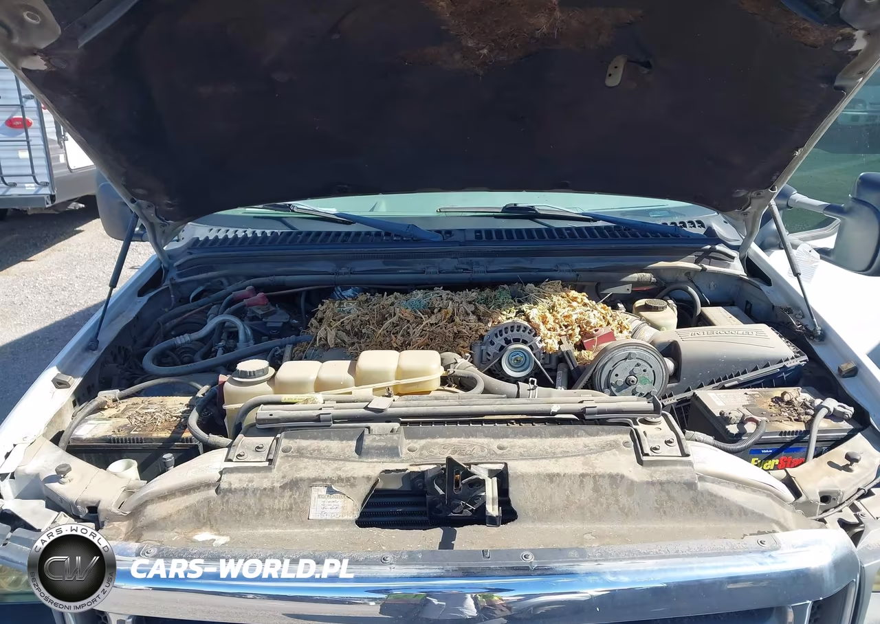 1999 Ford Super Duty F-450 VIN:1FDXF46F8XEA42098 - 9