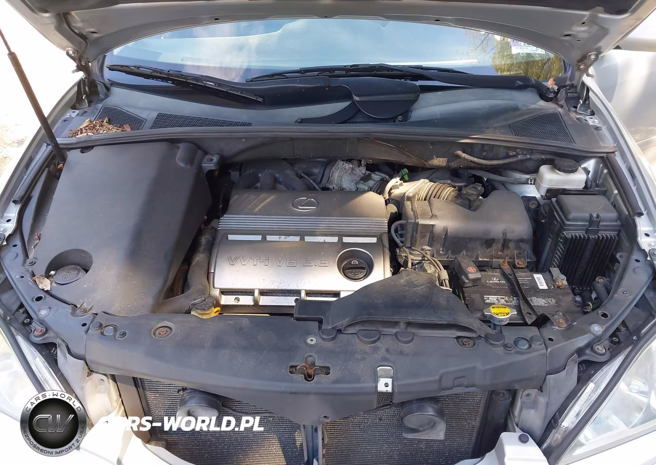 2004 Lexus Rx 330 VIN:2T2HA31U94C015963 - 10
