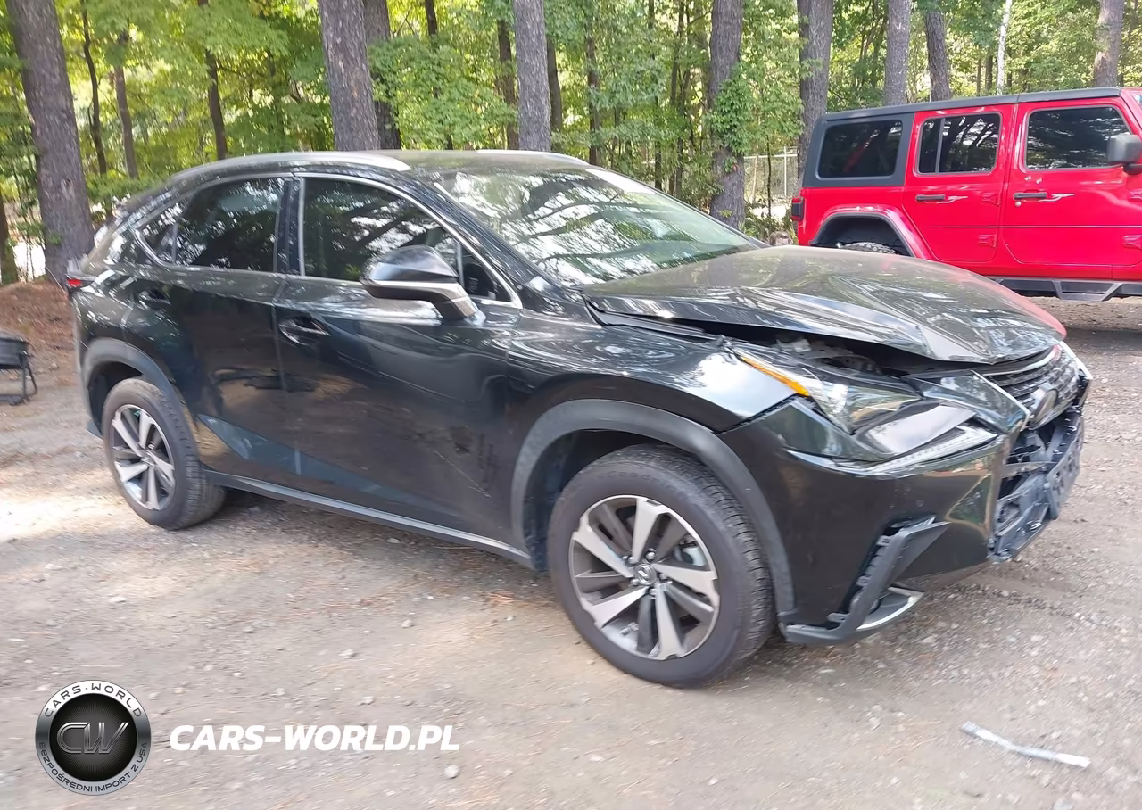 2021 Lexus Nx 300