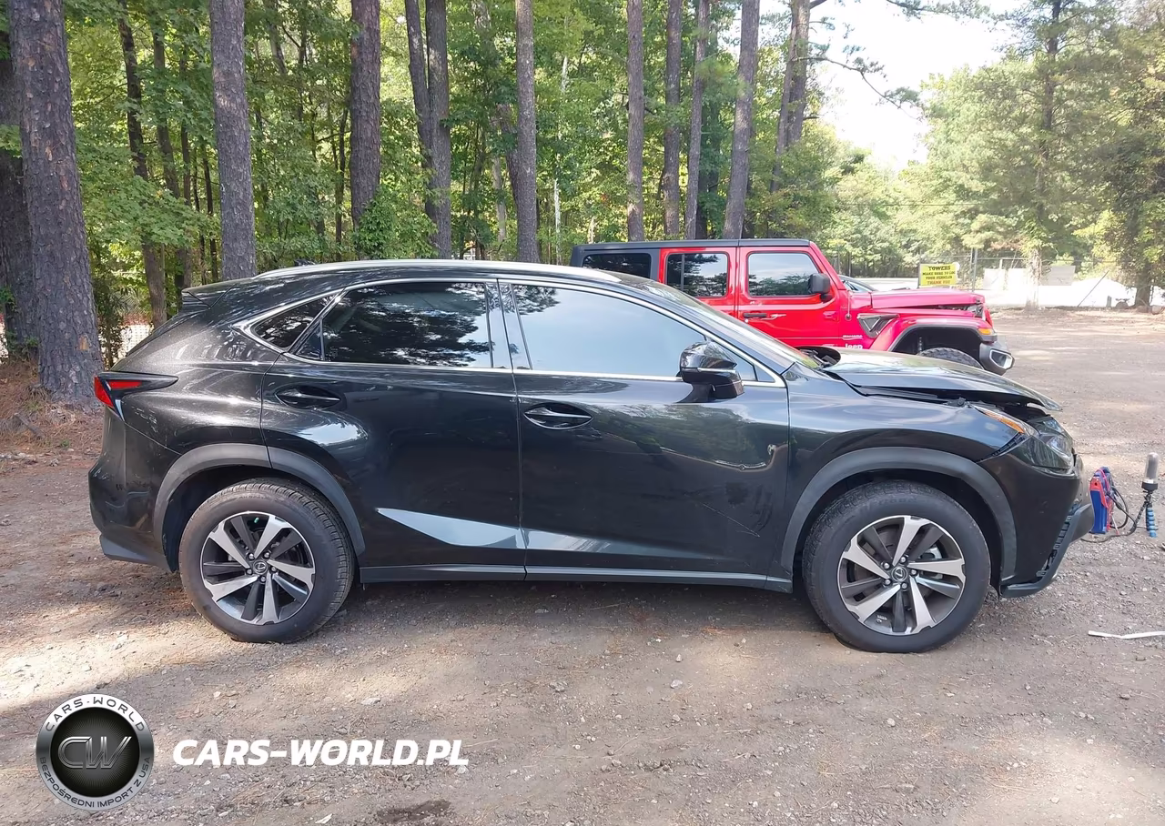 2021 Lexus Nx 300 VIN:JTJGARDZXM2240592 - 13