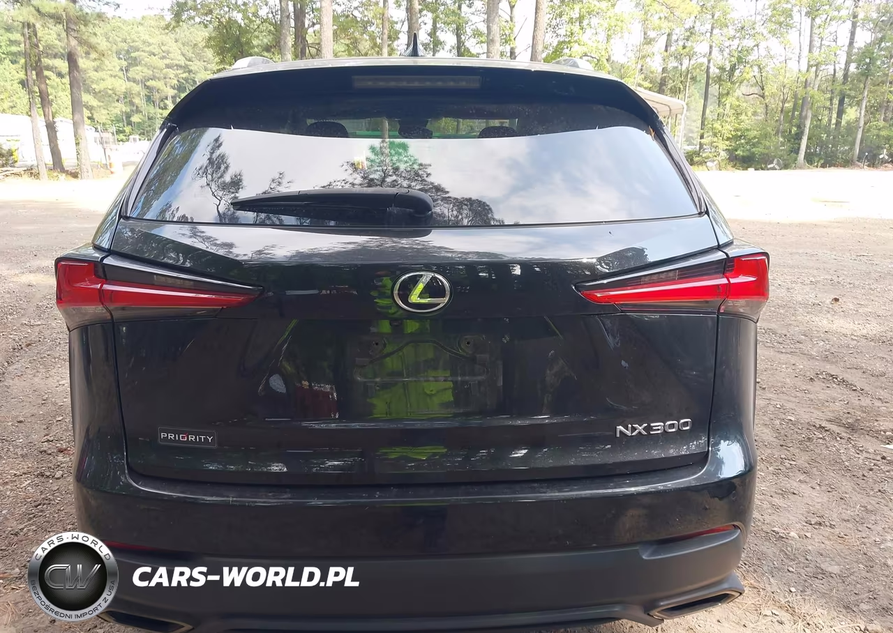 2021 Lexus Nx 300 VIN:JTJGARDZXM2240592 - 16