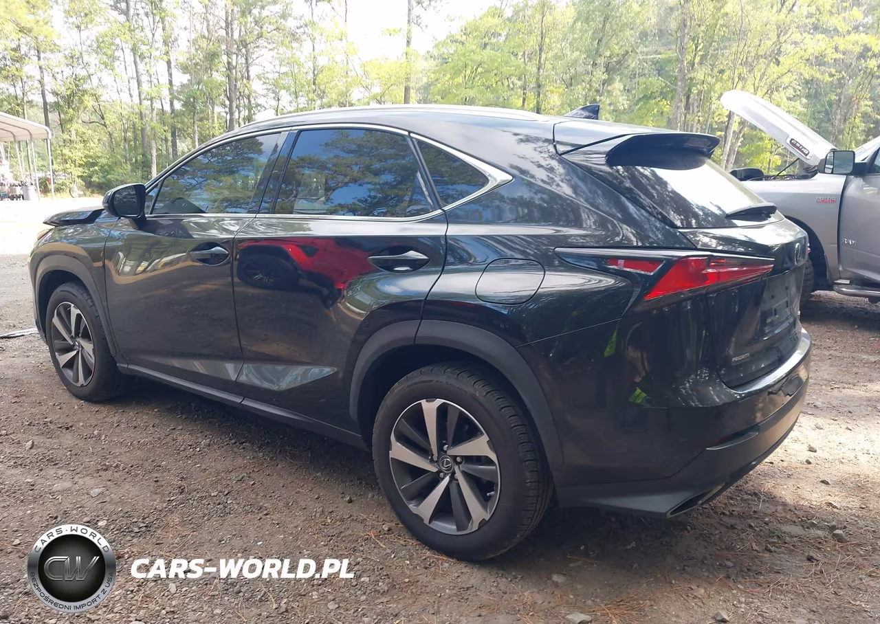 2021 Lexus Nx 300 VIN:JTJGARDZXM2240592 - 3