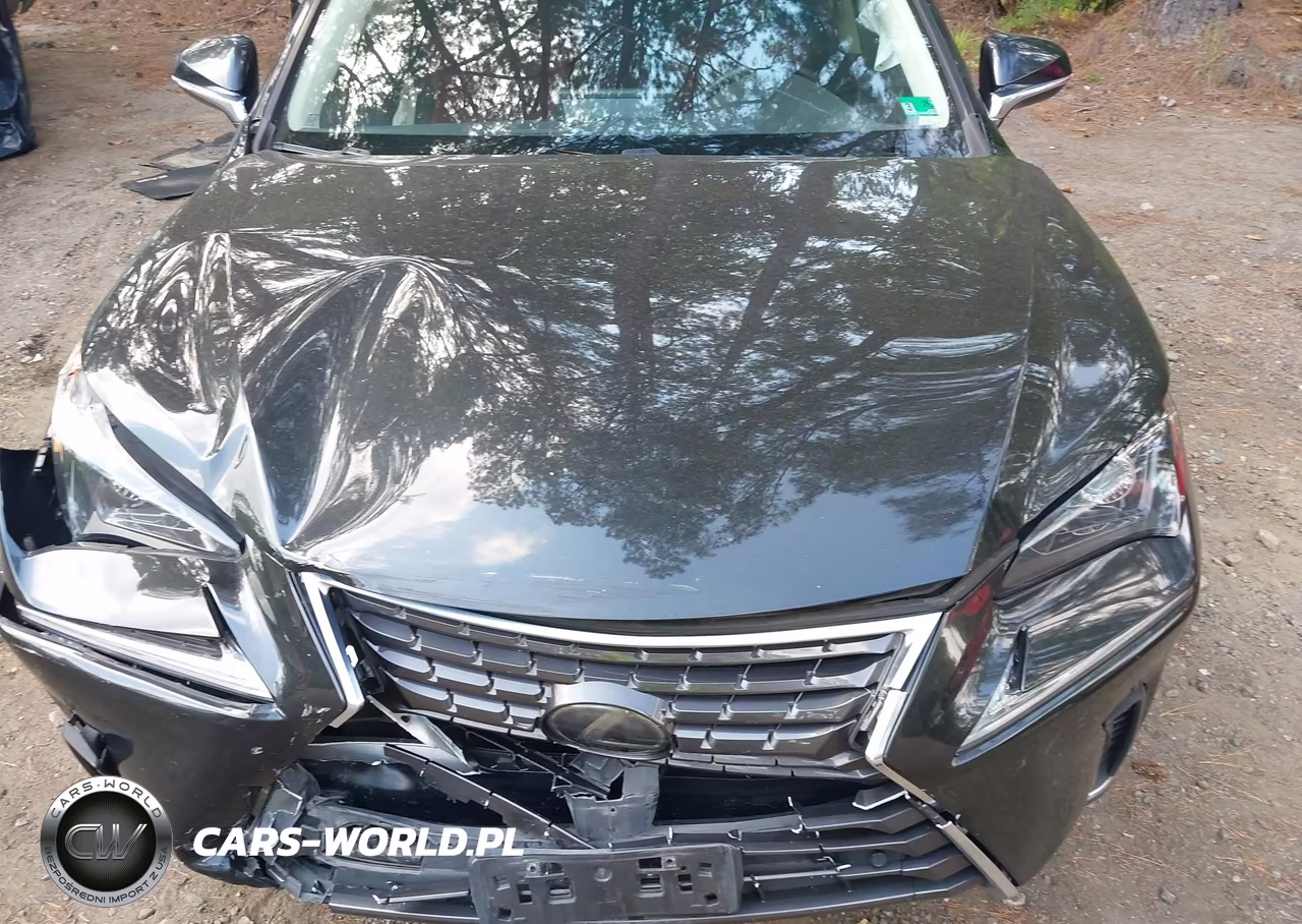 2021 Lexus Nx 300 VIN:JTJGARDZXM2240592 - 6