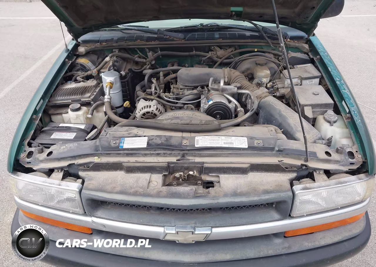1999 Chevrolet S-10 VIN:1GCDT14XXXK110445 - 10