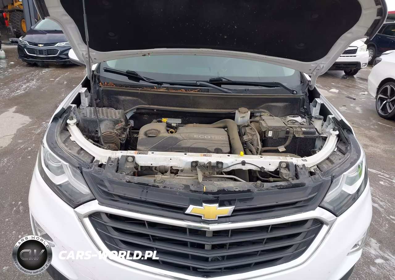 2018 Chevrolet Equinox Lt VIN:2GNAXSEV5J6290770 - 10