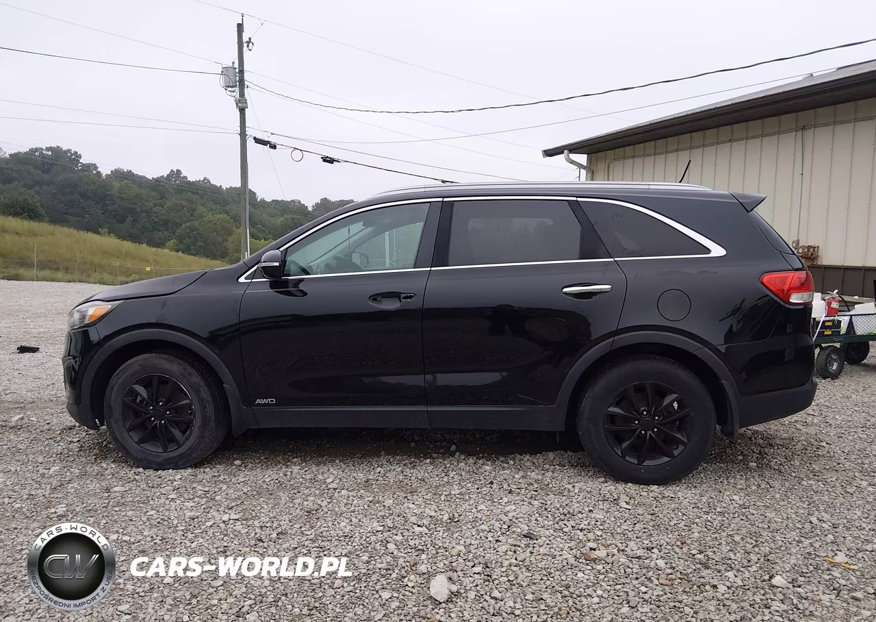 2016 Kia Sorento 2.4L Lx VIN:5XYPGDA37GG101356 - 15