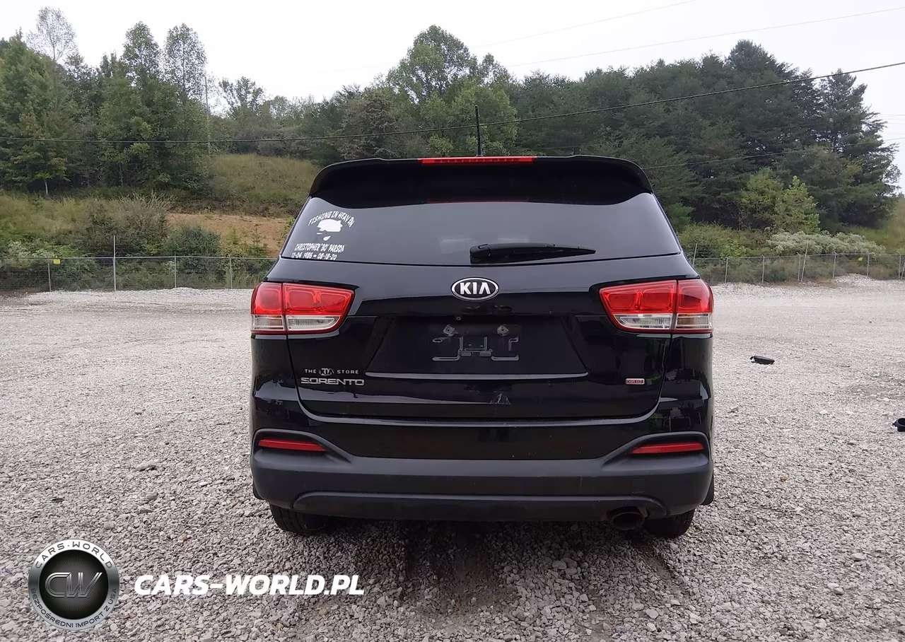 2016 Kia Sorento 2.4L Lx VIN:5XYPGDA37GG101356 - 17