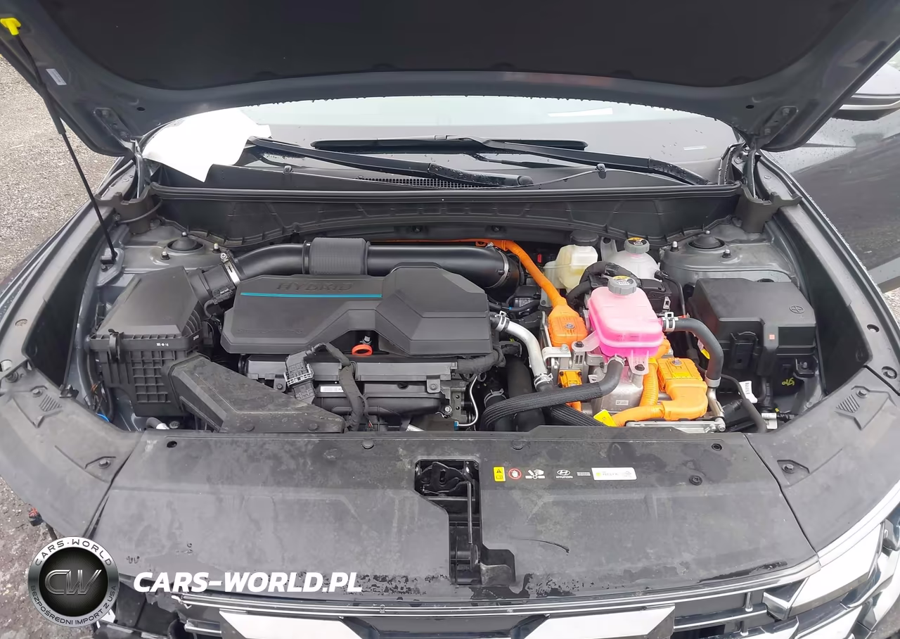 2025 Hyundai Tucson Hybrid Limited VIN:KM8JEDD15SU379066 - 10
