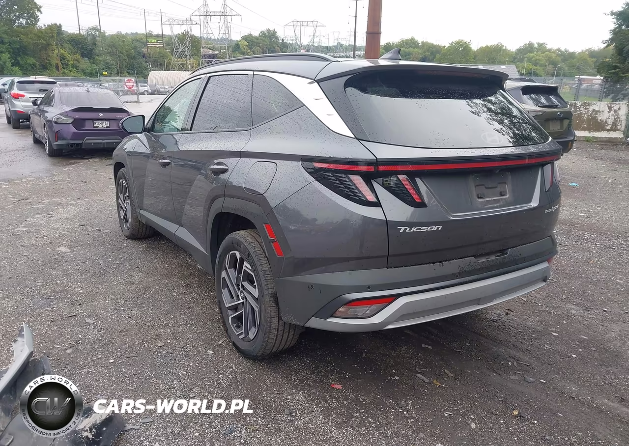 2025 Hyundai Tucson Hybrid Limited VIN:KM8JEDD15SU379066 - 3