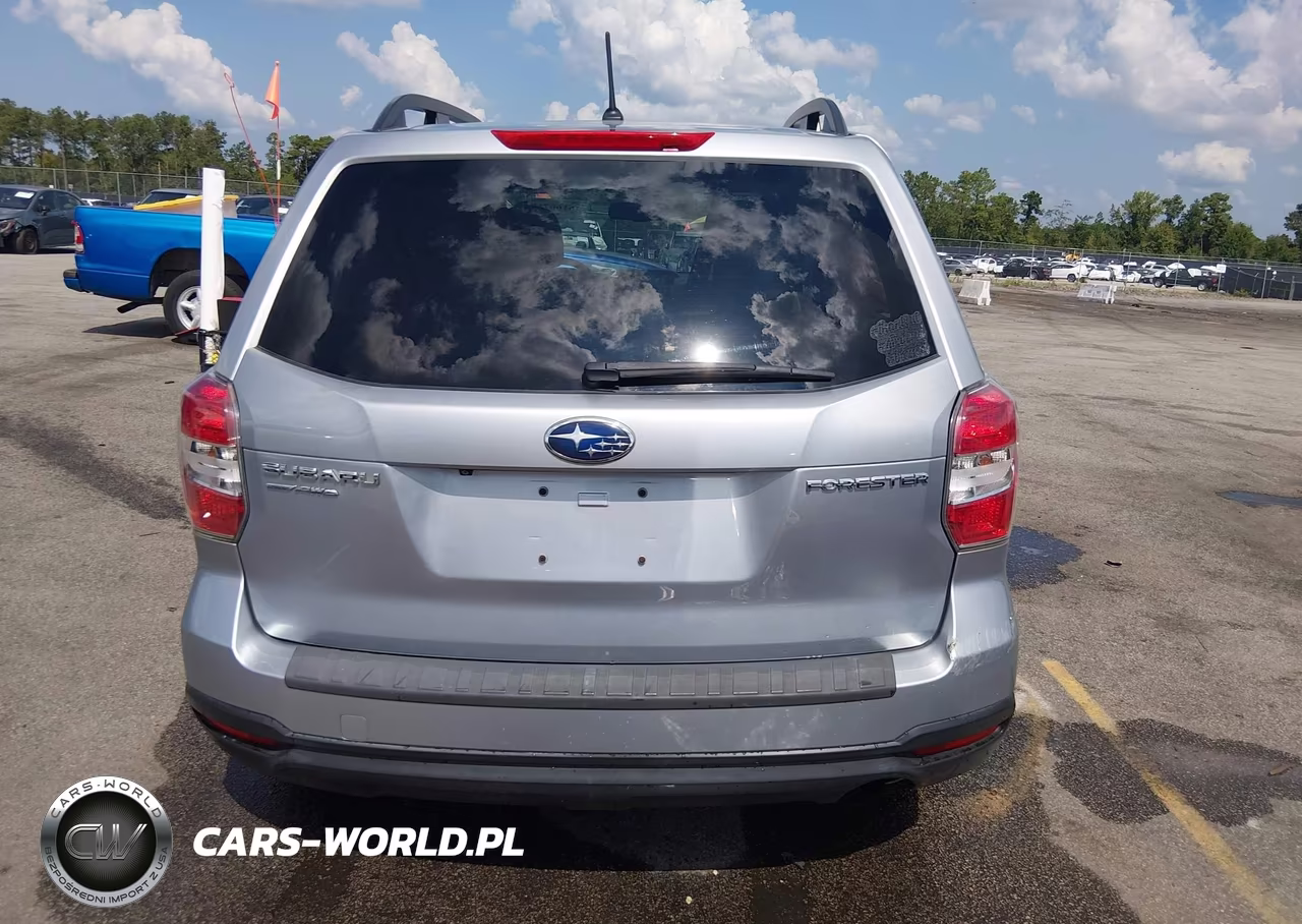 2015 Subaru Forester 2.5I Premium VIN:JF2SJADC3FH560395 - 17