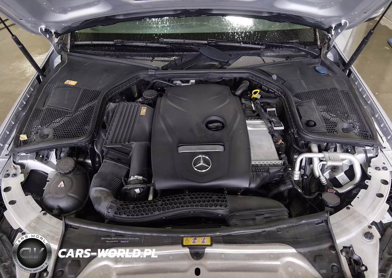 2016 Mercedes-Benz C 300 4Matic VIN:55SWF4KB4GU100014 - 10