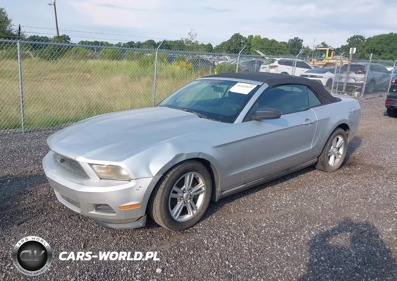 2011 Ford Mustang V6 VIN:1ZVBP8EM8B5129427 - 2