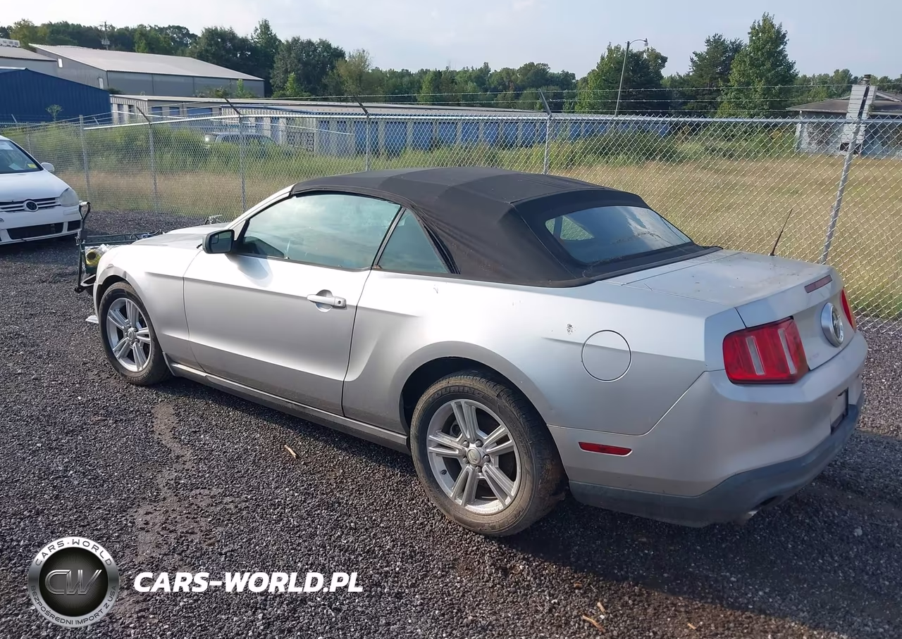 2011 Ford Mustang V6 VIN:1ZVBP8EM8B5129427 - 3