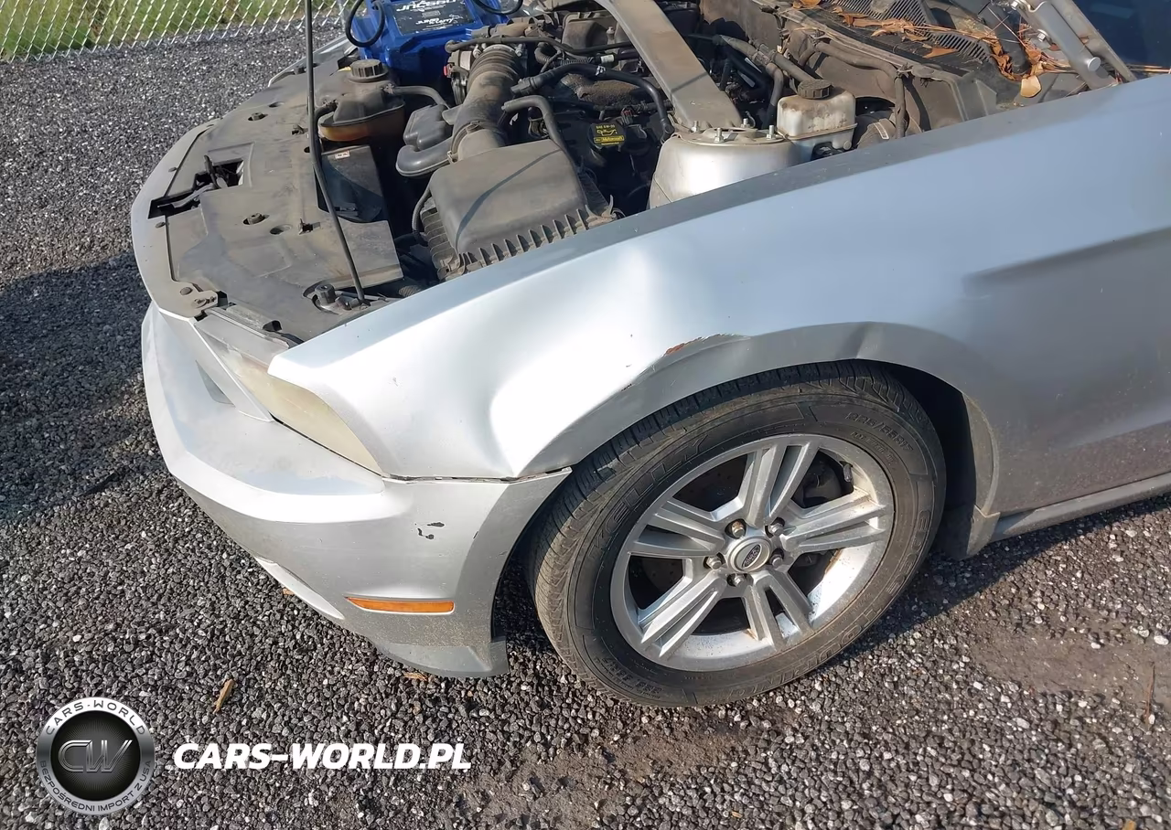 2011 Ford Mustang V6 VIN:1ZVBP8EM8B5129427 - 6