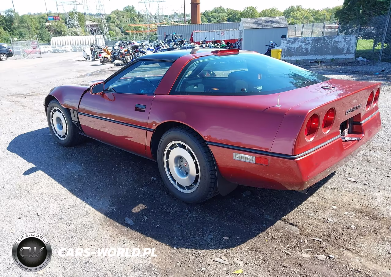 1987 Chevrolet Corvette VIN:1G1YY2183H5125562 - 3