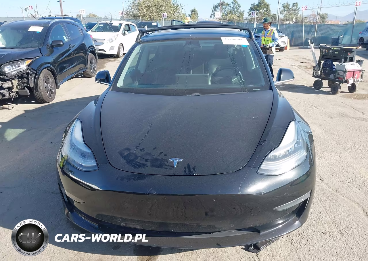 2020 Tesla Model 3 Performance Dual Motor All-Wheel Drive VIN:5YJ3E1ECXLF741916 - 12