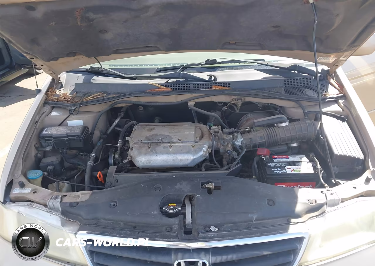 2002 Honda Odyssey Ex VIN:5FNRL18642B006918 - 10