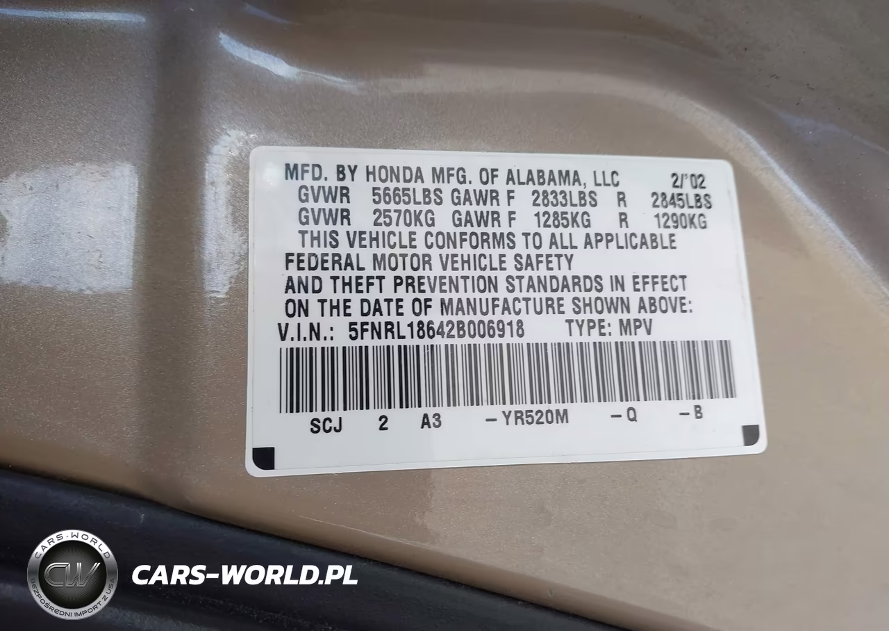 2002 Honda Odyssey Ex VIN:5FNRL18642B006918 - 9