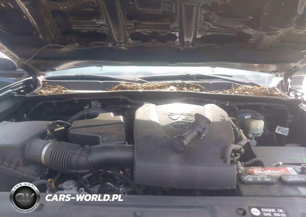 2016 Toyota Tacoma Trd Sport VIN:5TFAZ5CNXGX016691 - 10