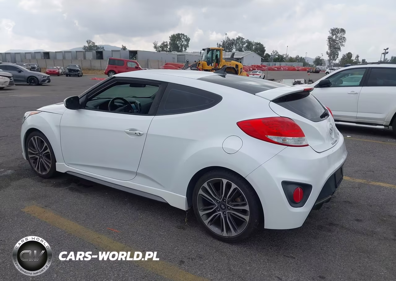 2017 Hyundai Veloster Turbo VIN:KMHTC6AE3HU309883 - 3