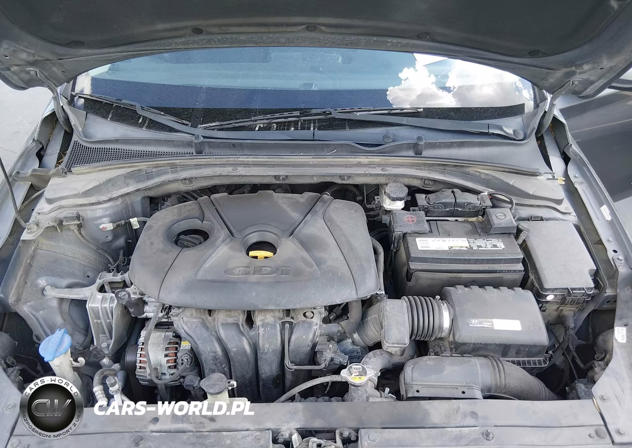 2019 Hyundai Elantra Gt VIN:KMHH35LE2KU098003 - 10