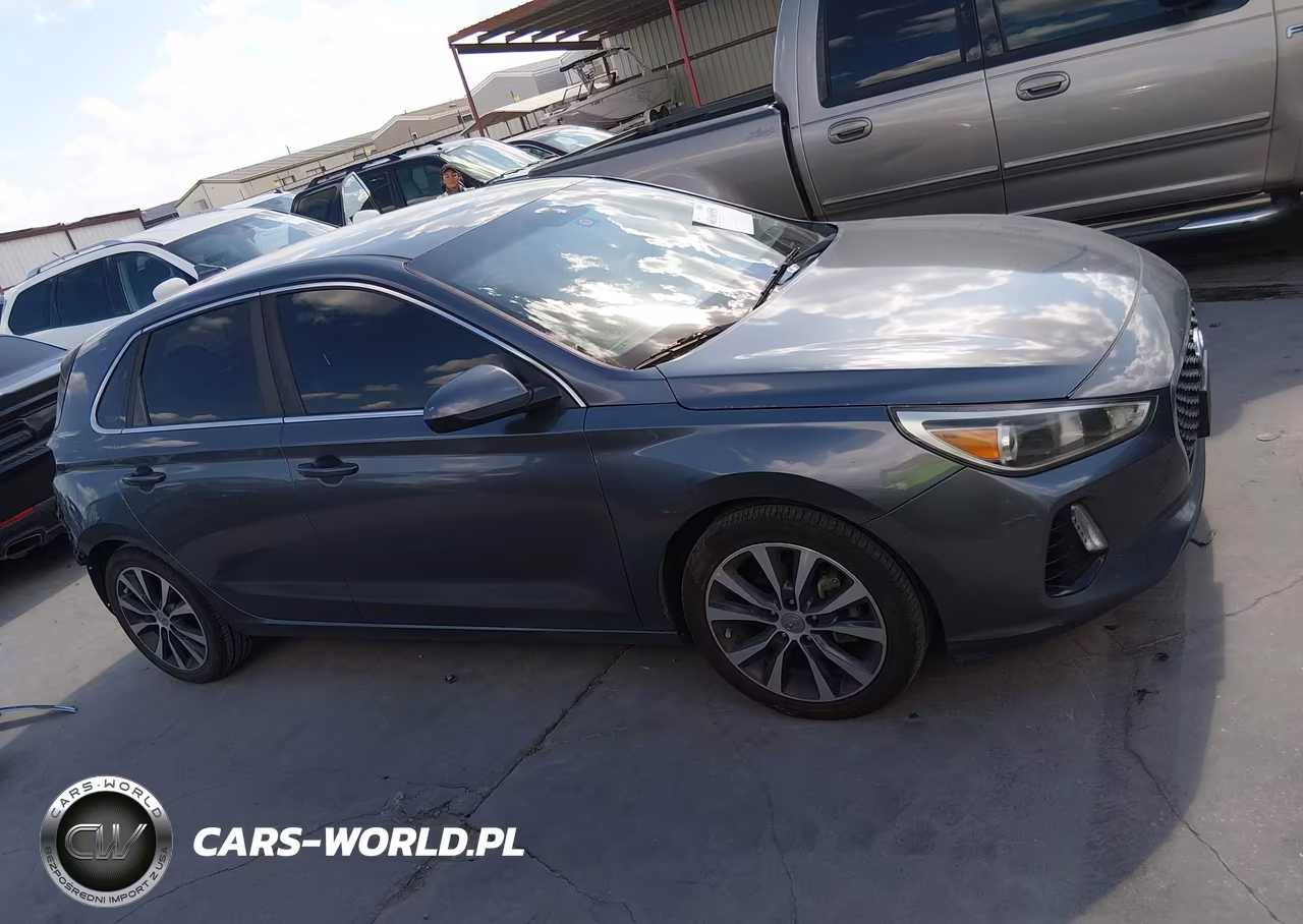 2019 Hyundai Elantra Gt VIN:KMHH35LE2KU098003 - 13