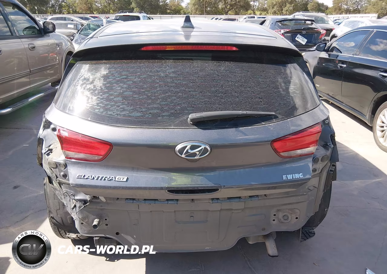 2019 Hyundai Elantra Gt VIN:KMHH35LE2KU098003 - 16