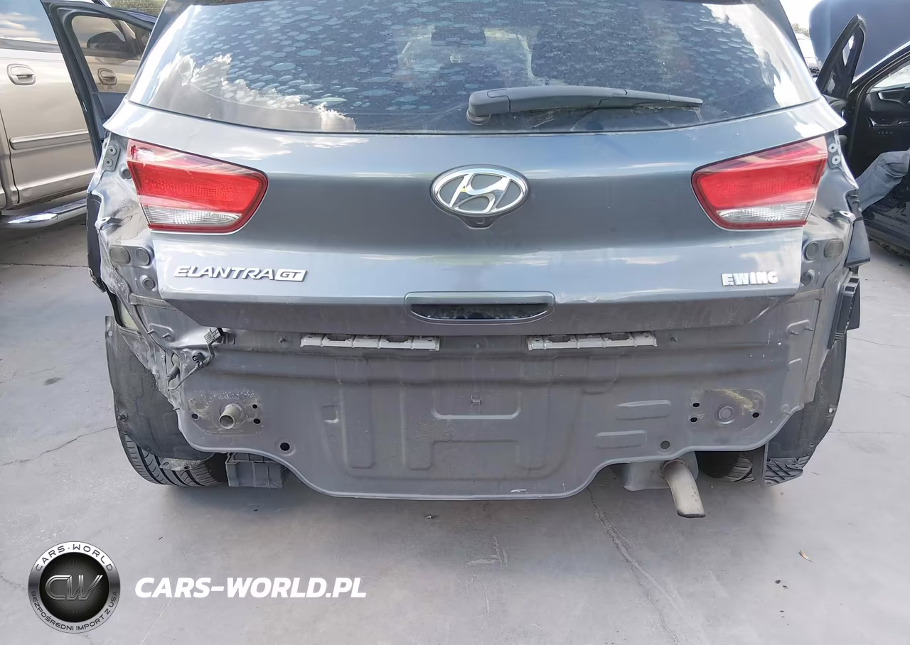 2019 Hyundai Elantra Gt VIN:KMHH35LE2KU098003 - 6
