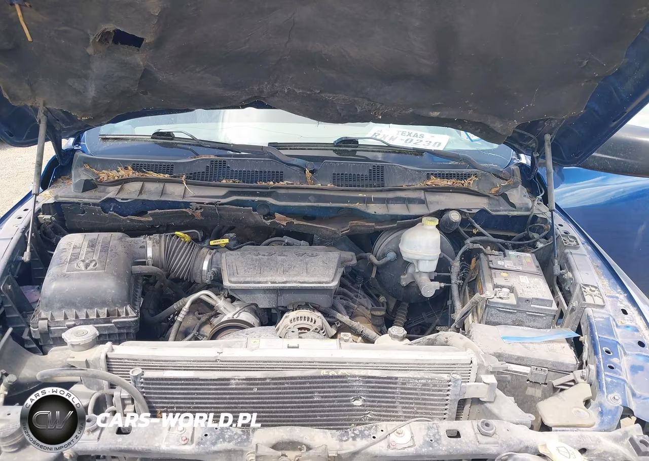 2010 Dodge Ram 1500 St VIN:1D7RB1GPXAS195935 - 10