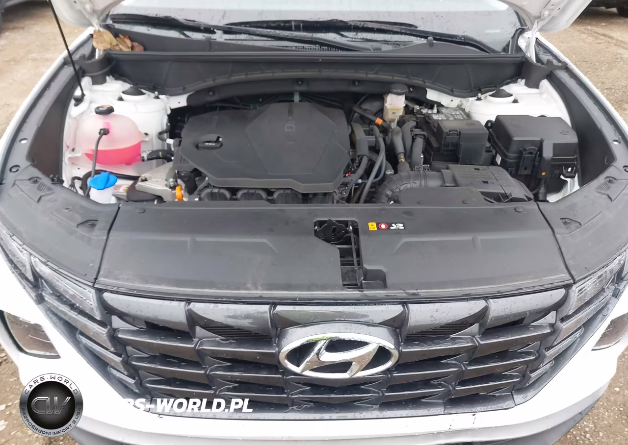 2024 Hyundai Tucson Sel VIN:5NMJFCDE5RH353390 - 10