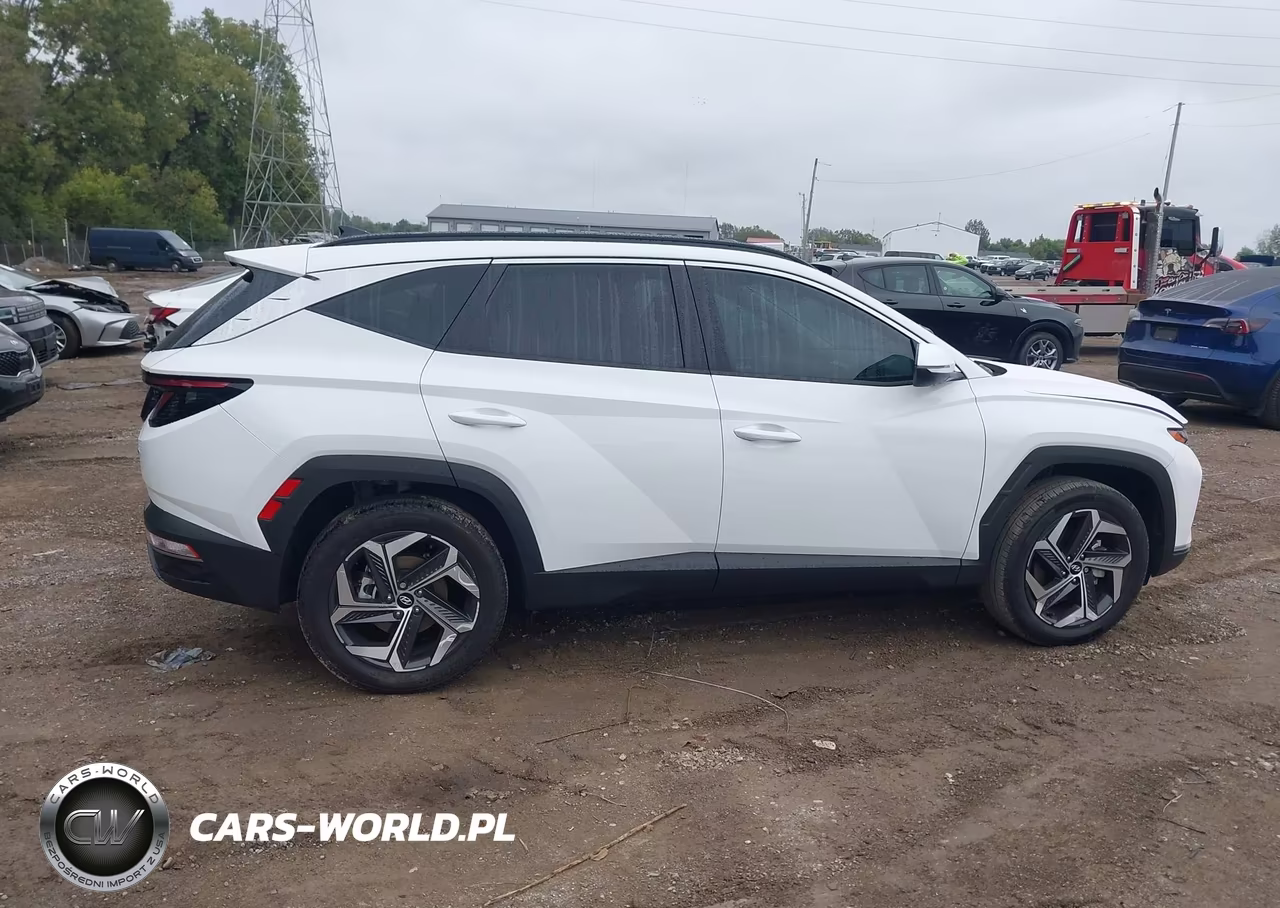 2024 Hyundai Tucson Sel VIN:5NMJFCDE5RH353390 - 13