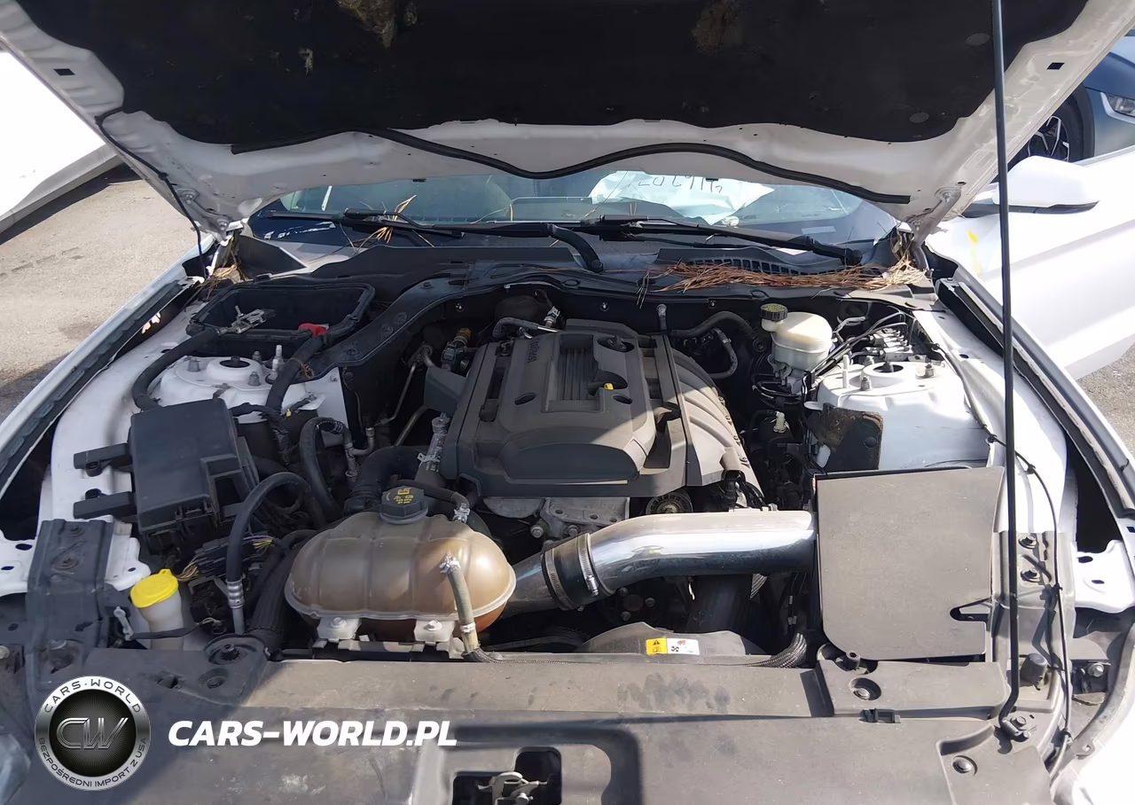 2016 Ford Mustang Ecoboost VIN:1FA6P8TH3G5227207 - 10